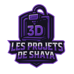 Les Projets de Shaya